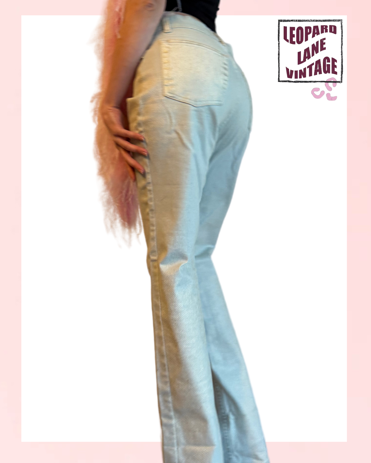 Roberto Cavalli Jeans